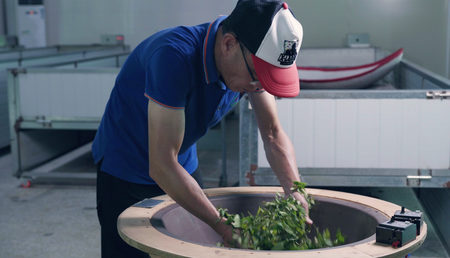 3 大沙茶古法制作技藝步驟——?dú)⑶啵ňG茶、黃茶）.png