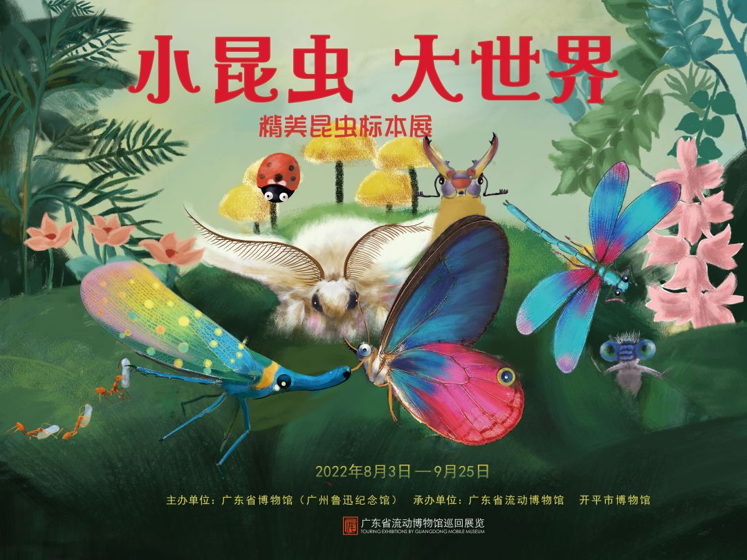 【展覽推介】小昆蟲 大世界——精美昆蟲標(biāo)本展