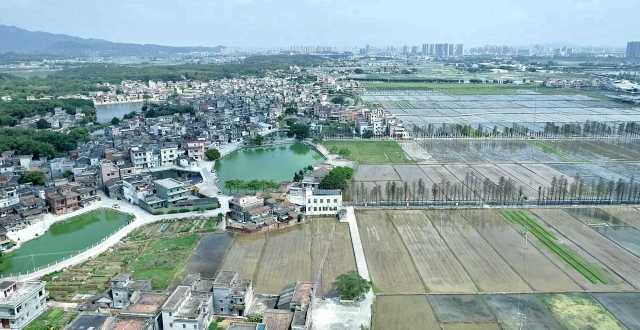 從長沙街道西溪村上空俯瞰，遠處青山疊翠、高樓聳立，近處屋舍儼然，池塘星羅棋布，農(nóng)田成方連片