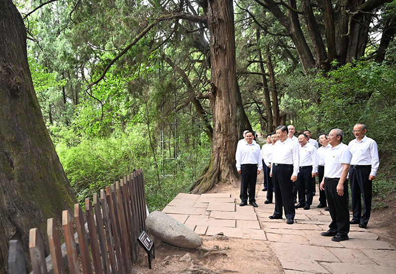 7月25日至27日，中共中央總書記、國家主席、中央軍委主席習近平在四川考察。這是25日下午，習近平在廣元市劍閣縣翠云廊考察。